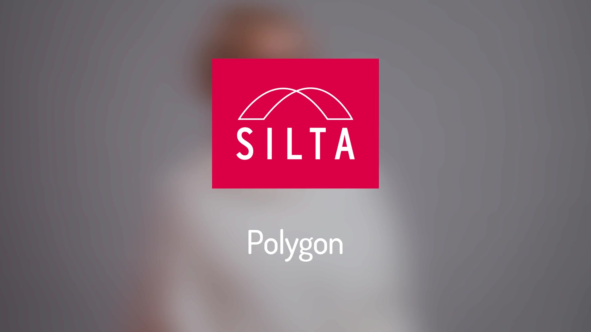 Silta Polygon Sub optimoitu v2_2-thumb